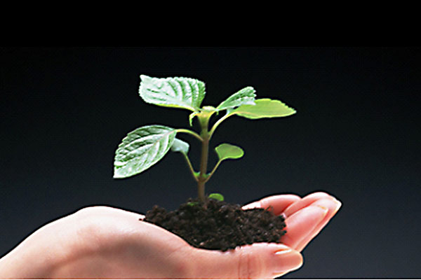 1589435006888143.jpg responsibility_02.jpg